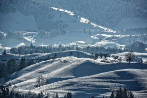 landschap, bergen, helling, sneeuw, bomen, winter