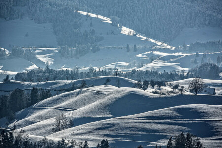 panorama, montanhas, declive, neve, árvores, inverno