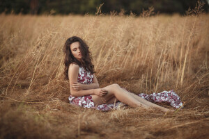 BELLEZZA, bokeh, capelli castani, elegante, Diana, Diana Joiner, Dmitrij Butvilovskij, vestito