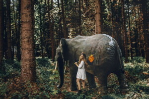 elefante, foresta, ragazza