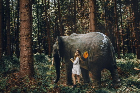 elefant, pădure, fată