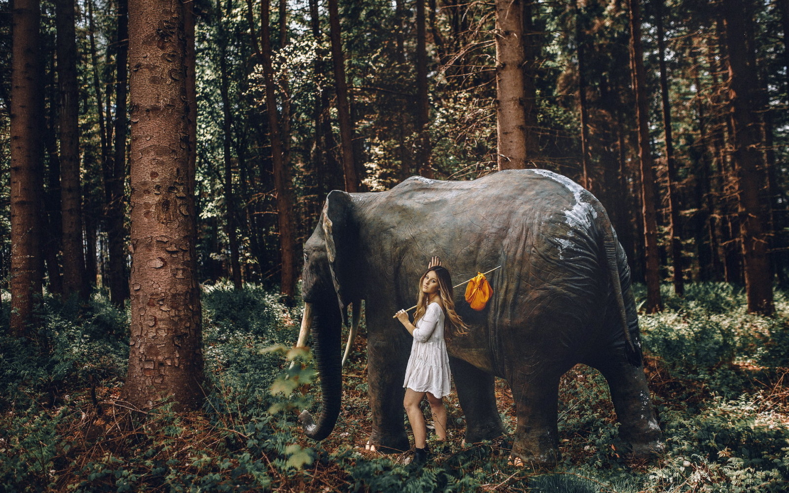 forest, girl, elephant