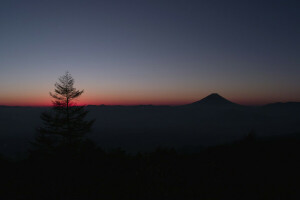 Fuji, glöd, horisont, Japan, Berg, himmelen, träd