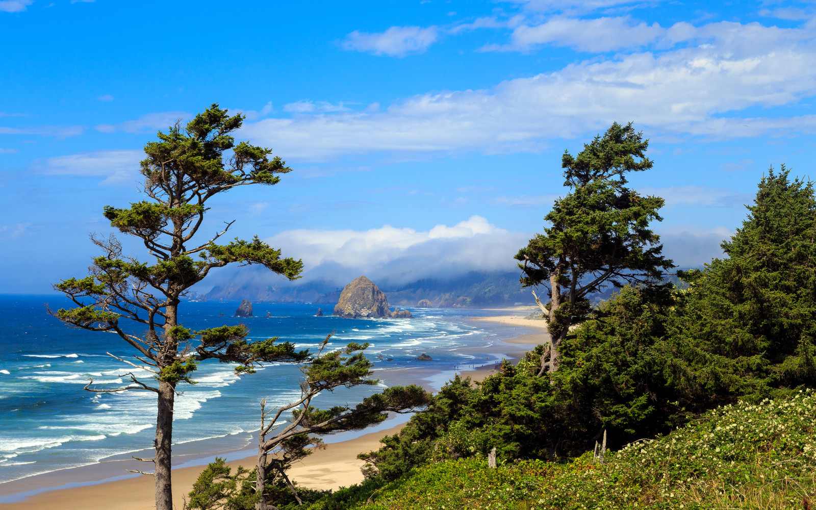 himlen, strand, sten, hav, træer, skyer, USA, kyst