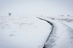 champ, neige, hiver