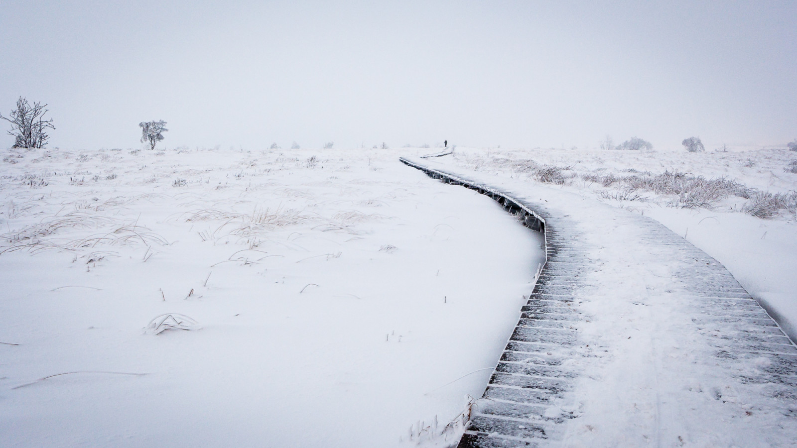 snow, winter, field