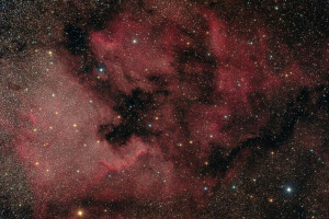 emissione, nella costellazione, nebulosa, cigno