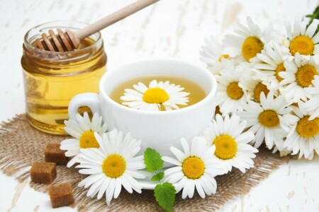 chamomile, flowers, honey, tea fragrant