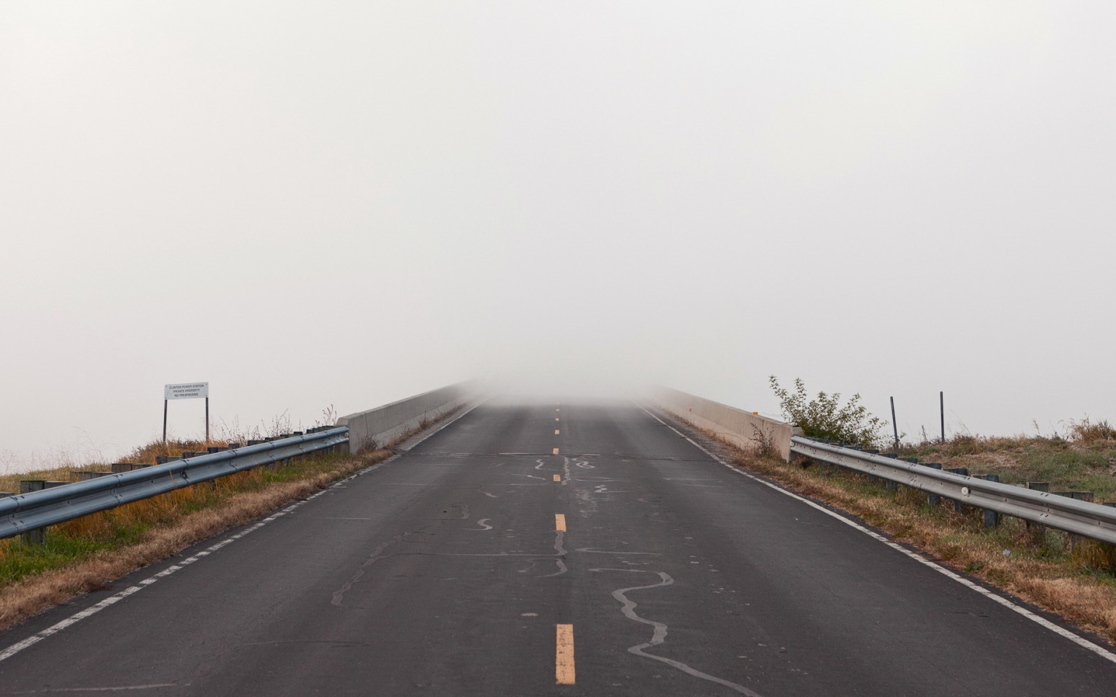 paesaggio, strada, nebbia