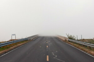 brouillard, paysage, route