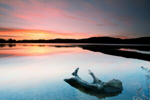 lake, landscape, log, sunset