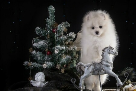 ángel, fiesta, caballo, Año nuevo, perrito, Perro de Pomerania, abeto, blanco