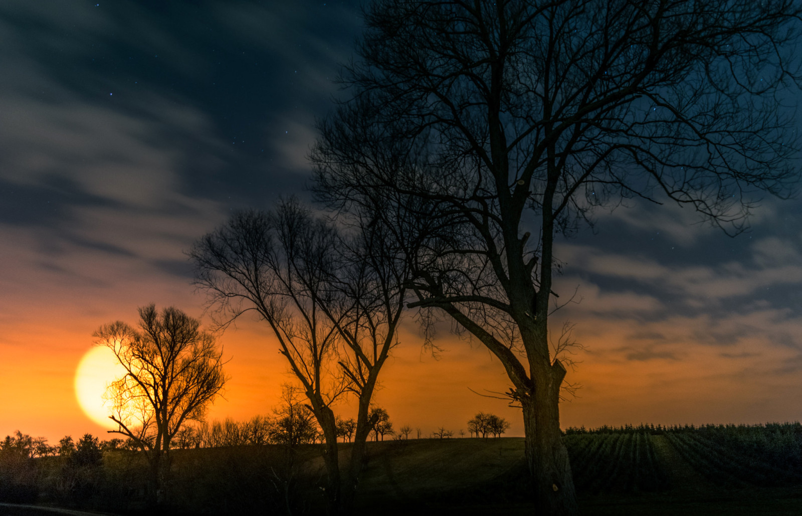 the sky, sunset, trees, field, clouds, the sun