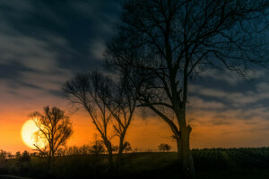 nuvens, campo, pôr do sol, o céu, o sol, árvores