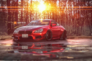 bmw m6, trusa de corp, Coupe F13, Photoshop