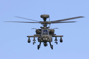 "Απάχης", AH-64D, Απάχης, ελικόπτερο, αποπληξία