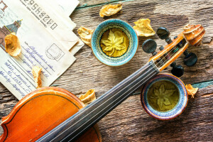 arte, Tea Sonata, o envelope, violino