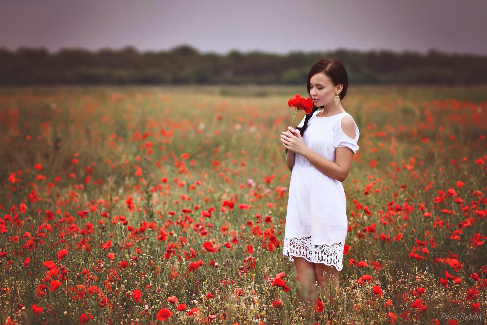 fille, BEAUTÉ, brunette, blanc, bouquet, mignonne, magnifique, robe