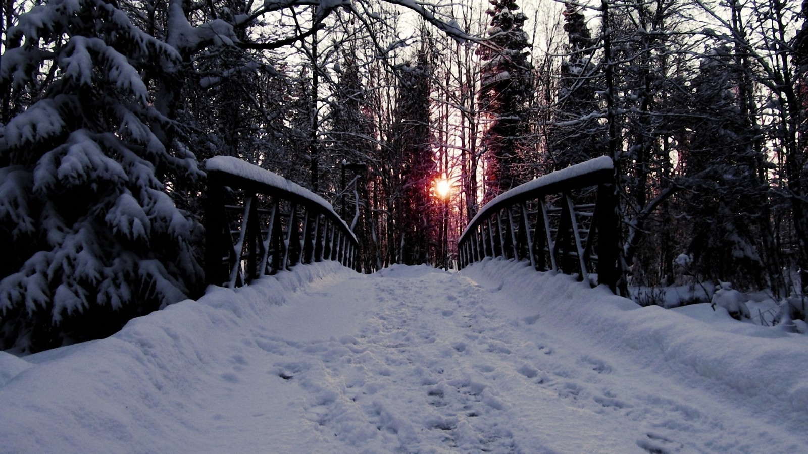 снег, лес, Дорога, деревья, Мост