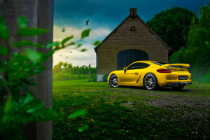 voiture, Cayman, Couleur, GT4, la nature, Porsche, Arrière, été