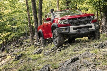 Chevrolet 2019 года, бизон, Колорадо, Кабина экипажа, ZR2