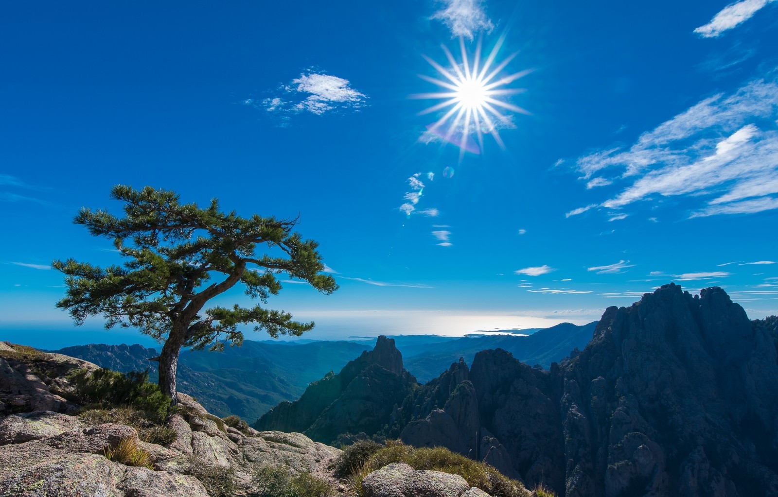 tree, the sky, France, mountains, the sun, Corsica, Conca, Needles of Bavella