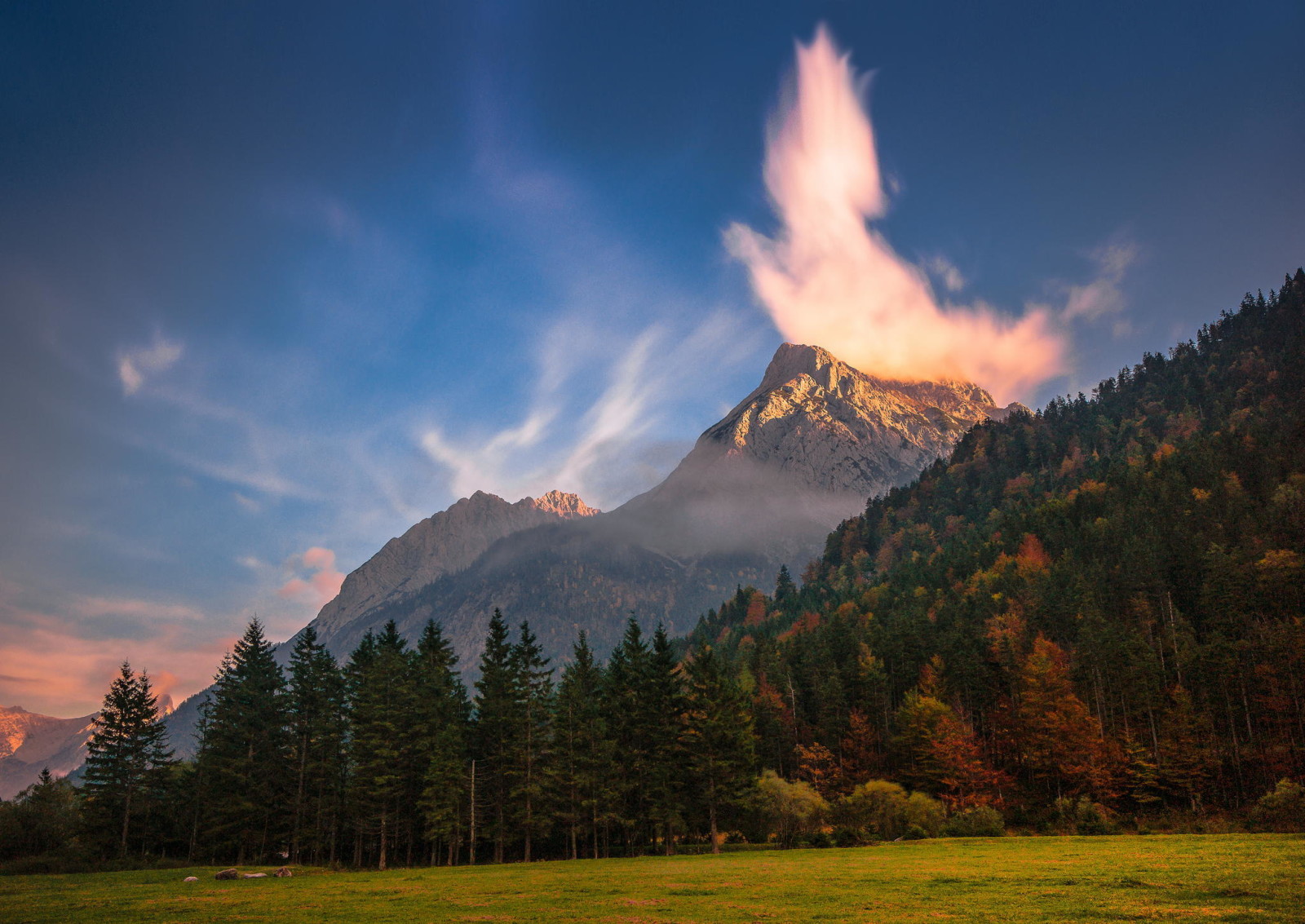 bosque, naturaleza, arboles, nubes, montañas