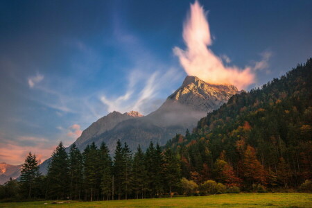 nuvole, foresta, montagne, natura, alberi