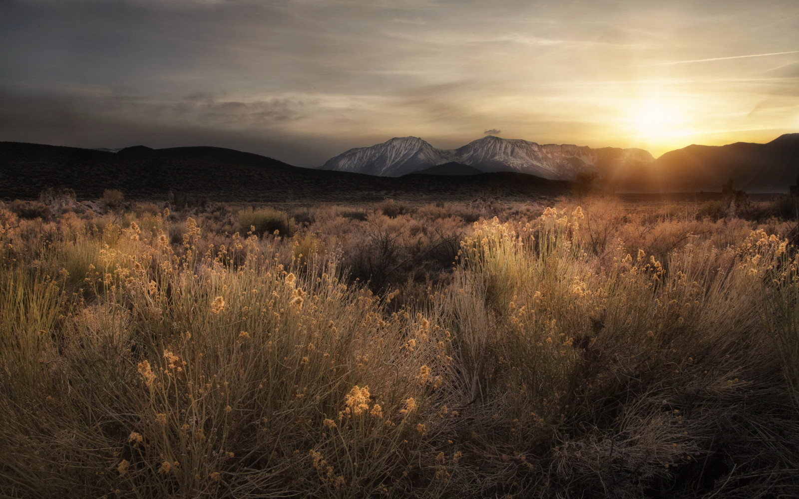 la nature, le coucher du soleil, champ, montagnes