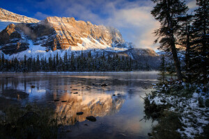 ősz, Banff Nemzeti Park, íj, Kanada, tó, reggel, visszaverődés