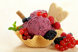 berry, BlackBerry, currants, dessert, food, ice cream, the sweetness, treat