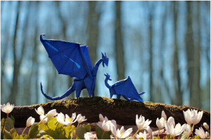 blue, bokeh, branch, dragons, flowers, forest, mother, puppy