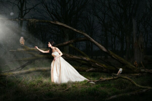 forêt, fille, nuit, chouettes, La lune