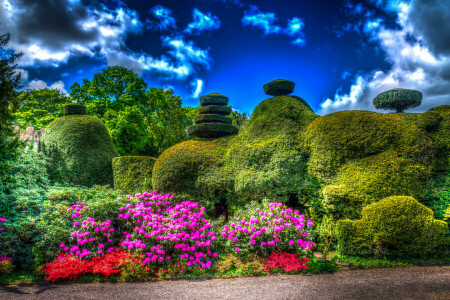 nuvens, Projeto, Inglaterra, flores, Parque, Tatton Park, Os arbustos, o céu