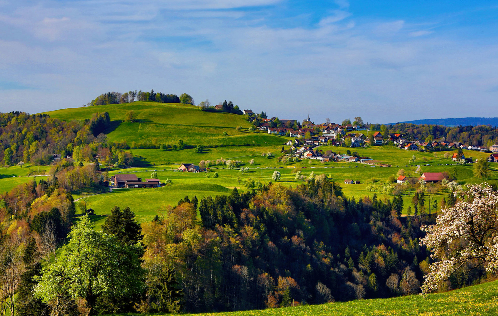 grass, the sky, trees, home, hill