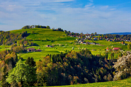 trawa, wzgórze, Dom, niebo, drzewa