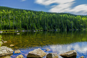 Wolken, Wald, See, Steine, der Himmel, Bäume, Wasser