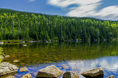 des nuages, forêt, Lac, des pierres, Le ciel, des arbres, l'eau