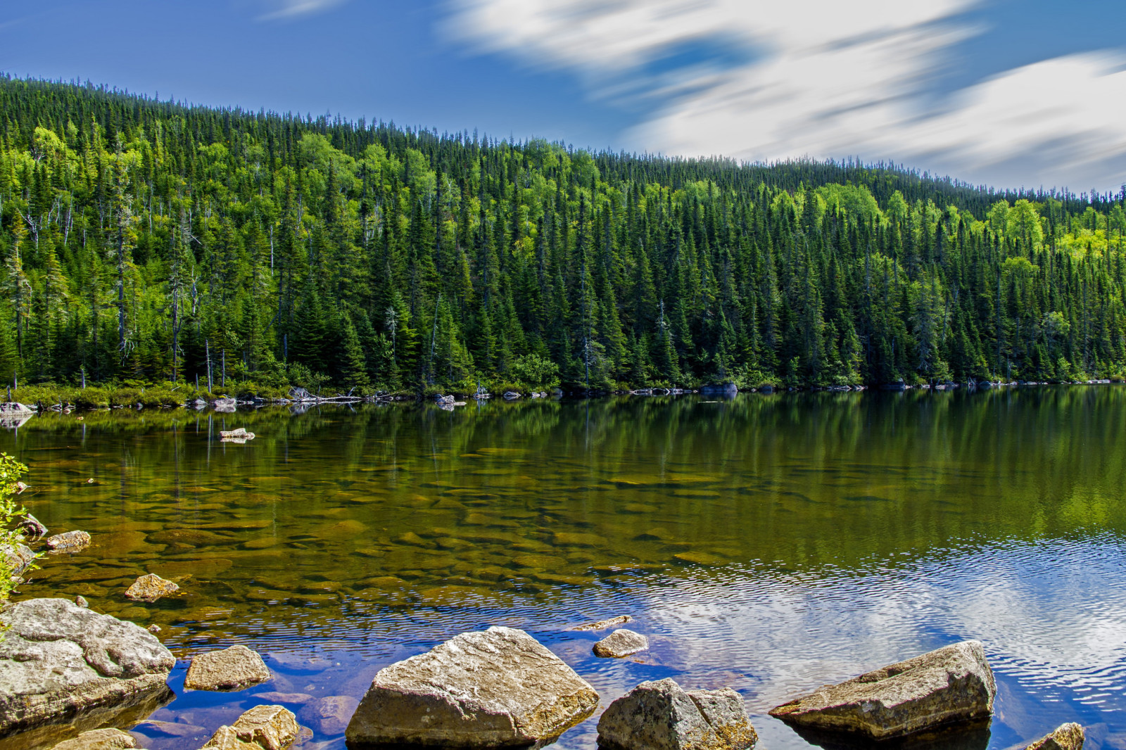 pădure, cerul, lac, pietre, copaci, nori, apă