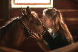 menina, cavalo, humor