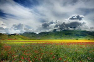 clouds, field, flowers, mountains, nature, plain, valley