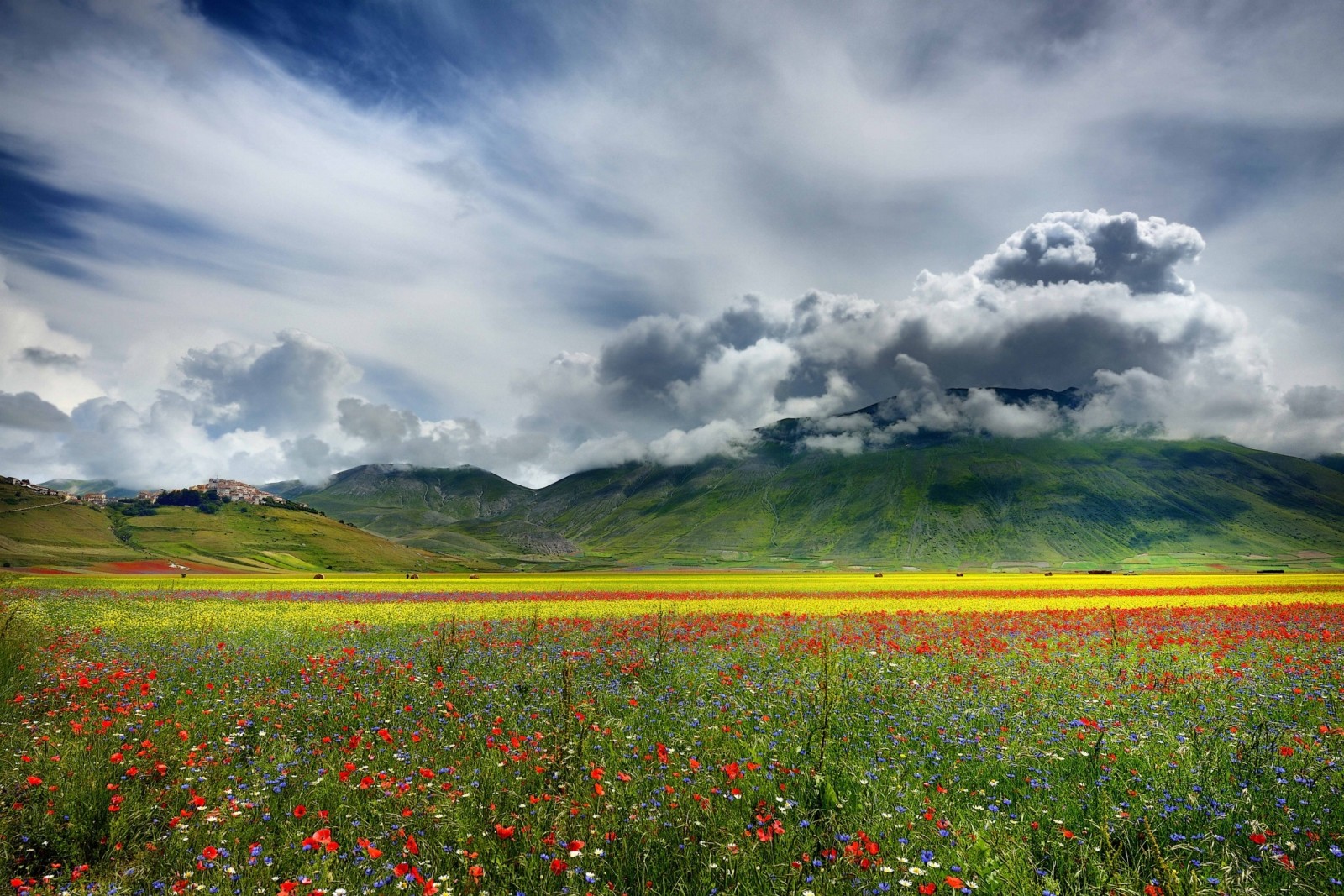 Natur, Feld, Blumen, Wolken, Berge, Senke, einfach