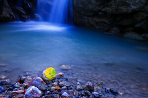 Makro, Blatt, Steine, Strom, Wasserfall