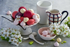 cookies, pasta, Still life