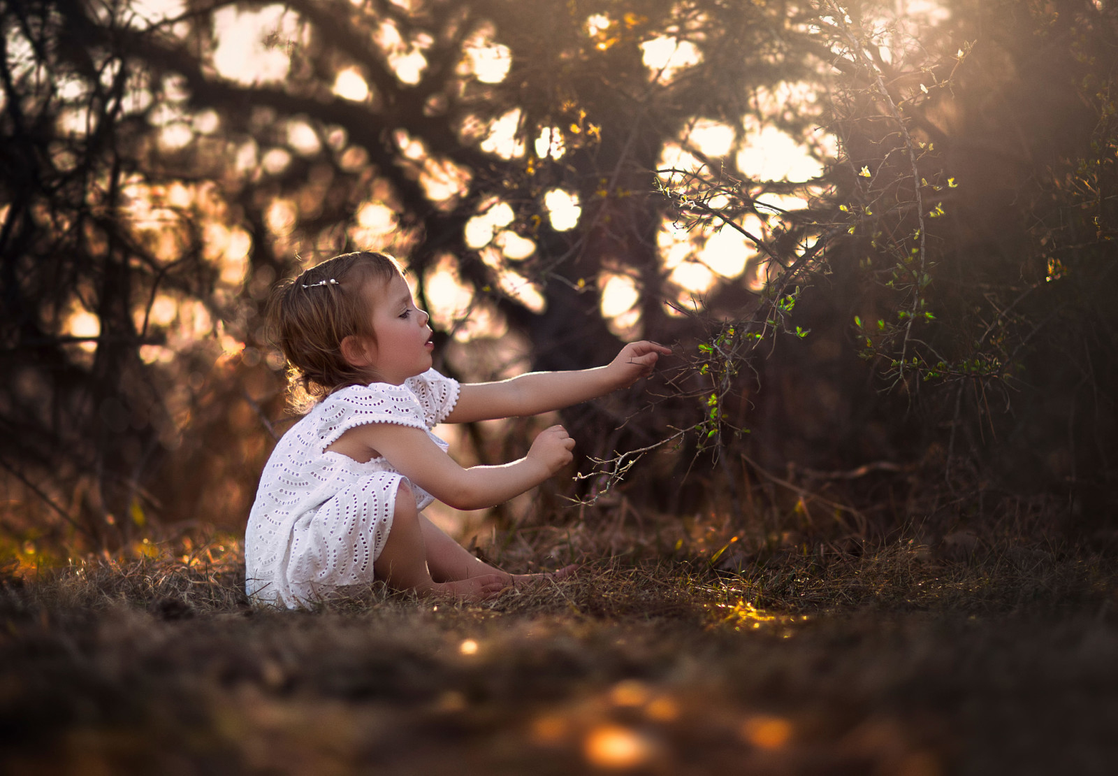 la nature, fille, le soleil