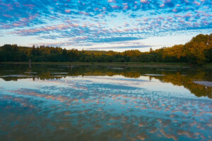 høst, skyer, innsjø, refleksjon, himmelen, trær