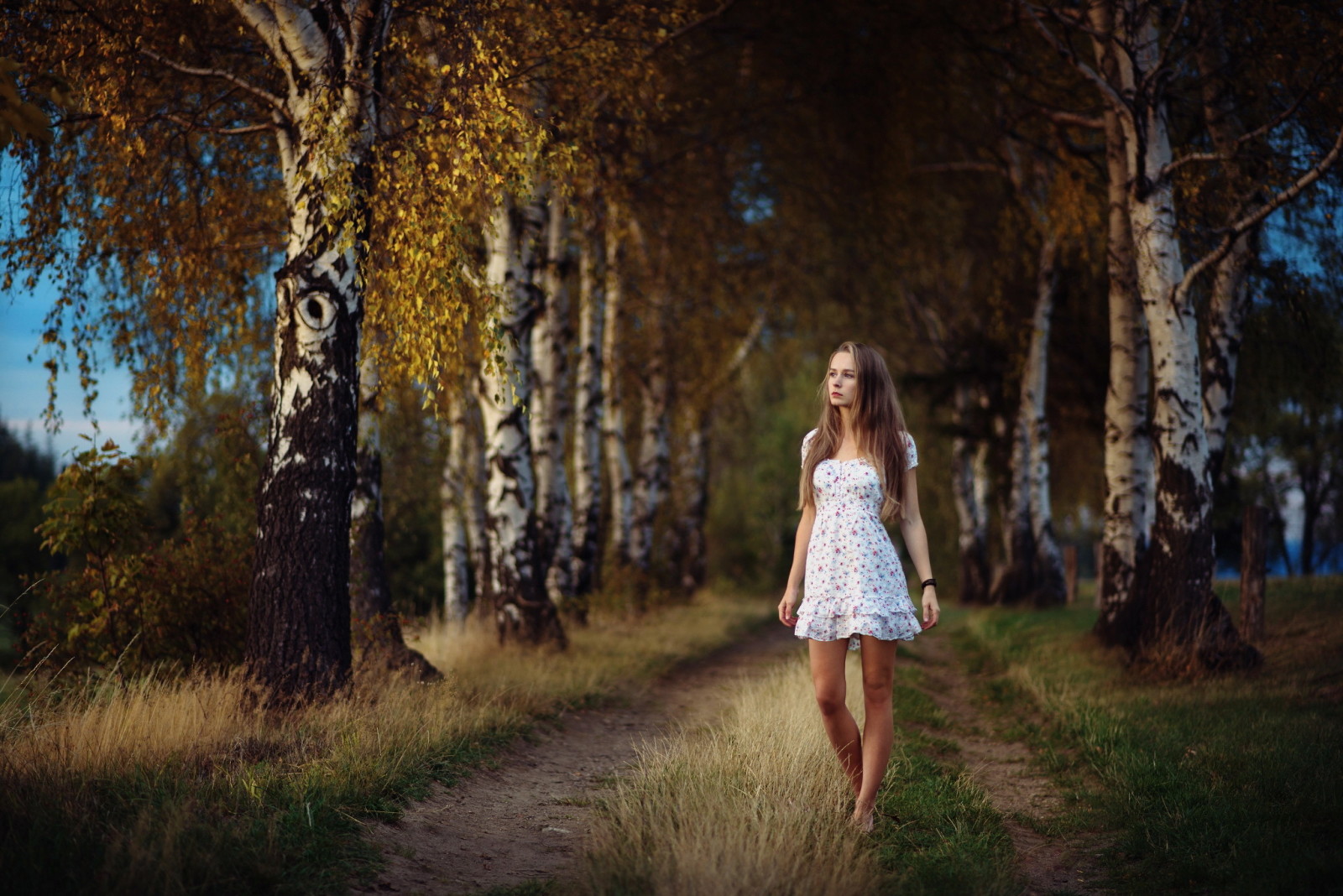 autumn, girl, road, birch