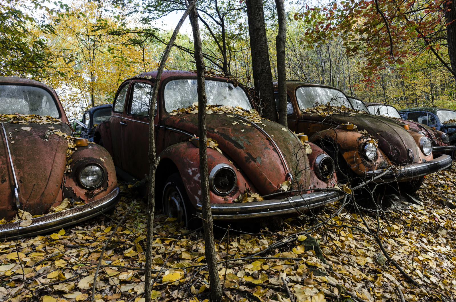 otoño, chatarra, Máquina