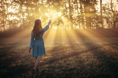 fairy, girl, light, morning