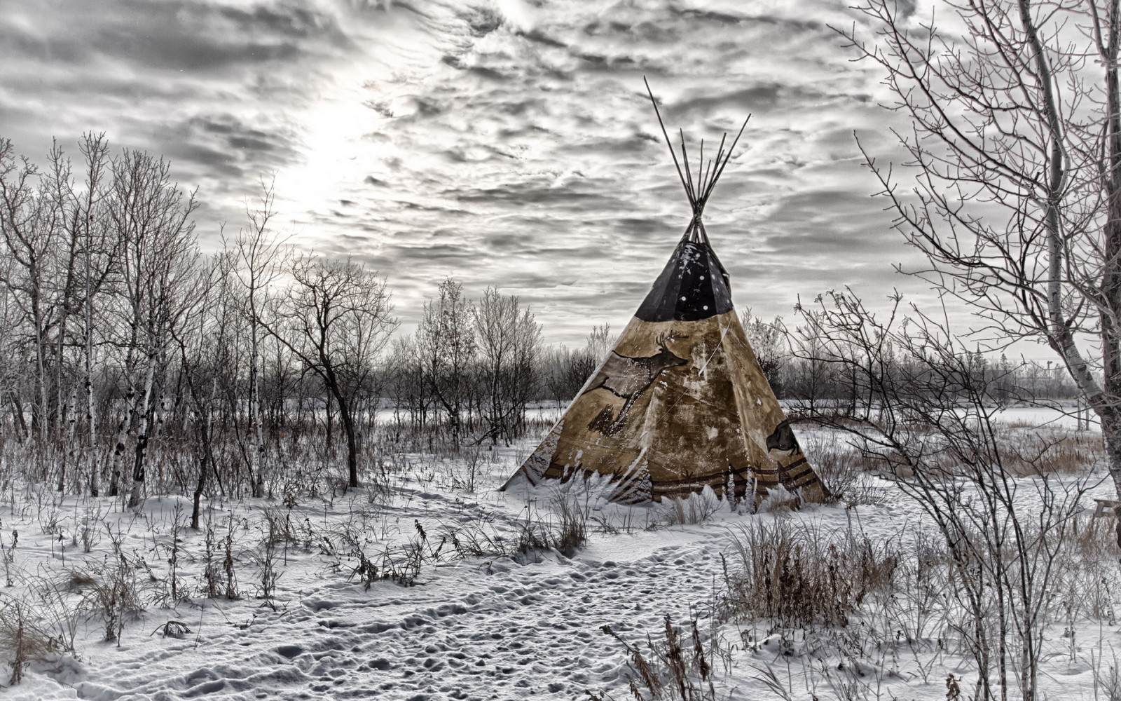 snow, winter, trees, clouds, sky, tepee